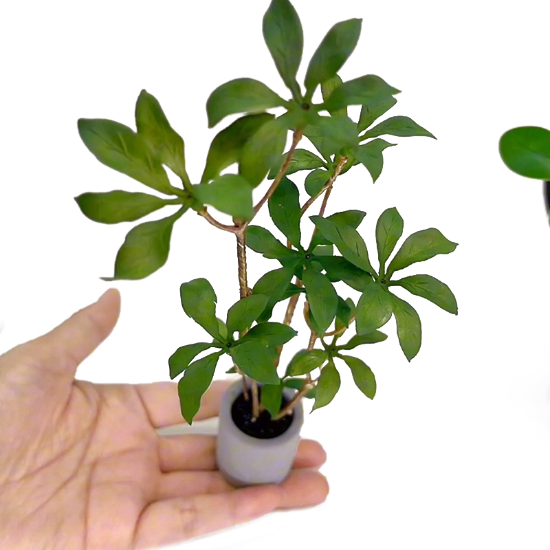 Bonsai Garden House - Modelo de plantas en maceta en