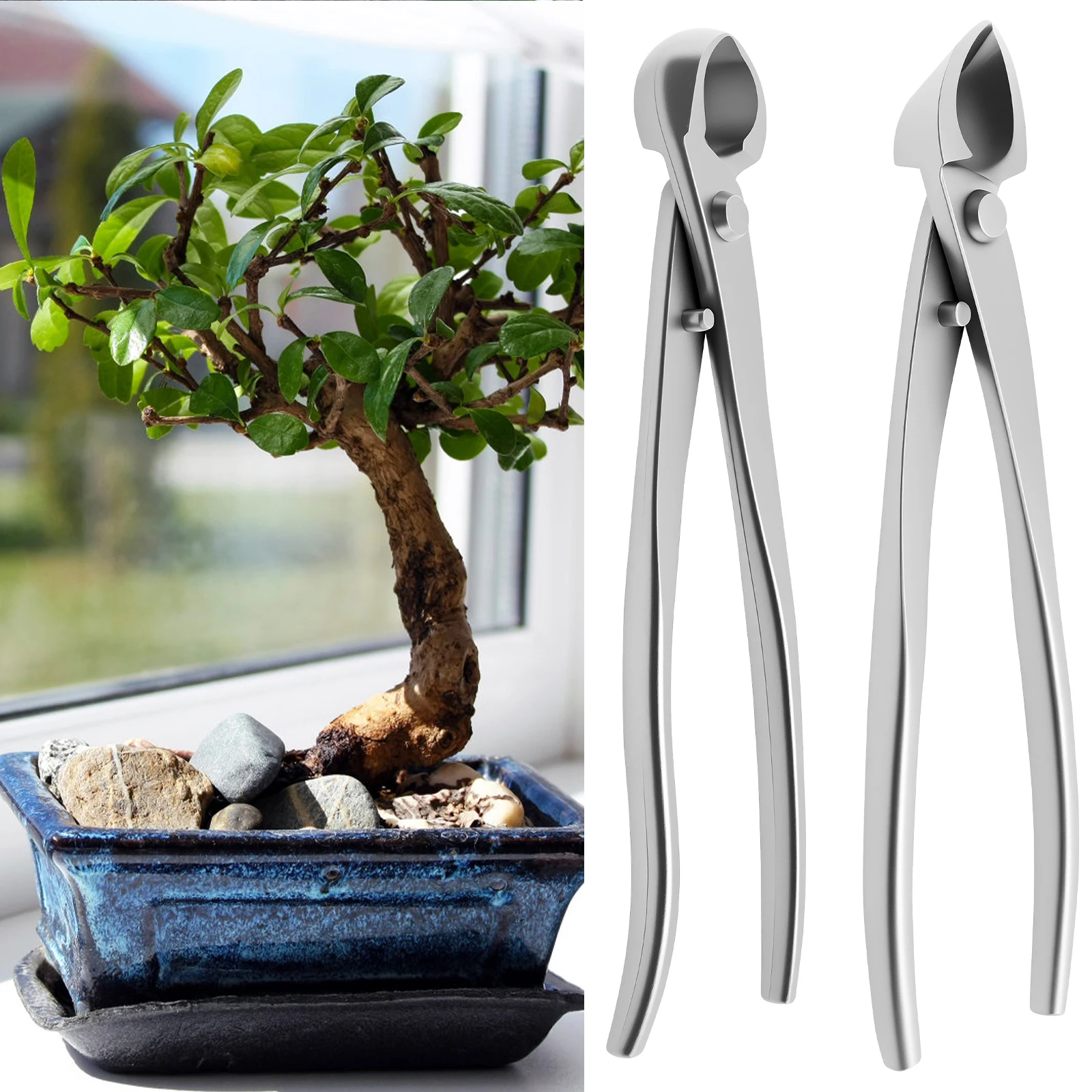 Bonsai Garden Timings - Kit de Cuidado de Bonsáis de