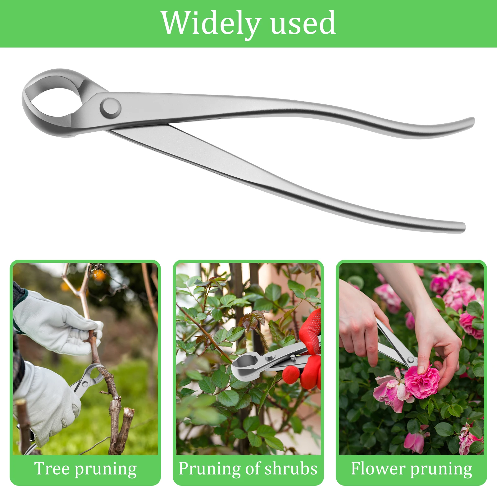 Bonsai Garden Timings - Kit de Cuidado de Bonsáis de