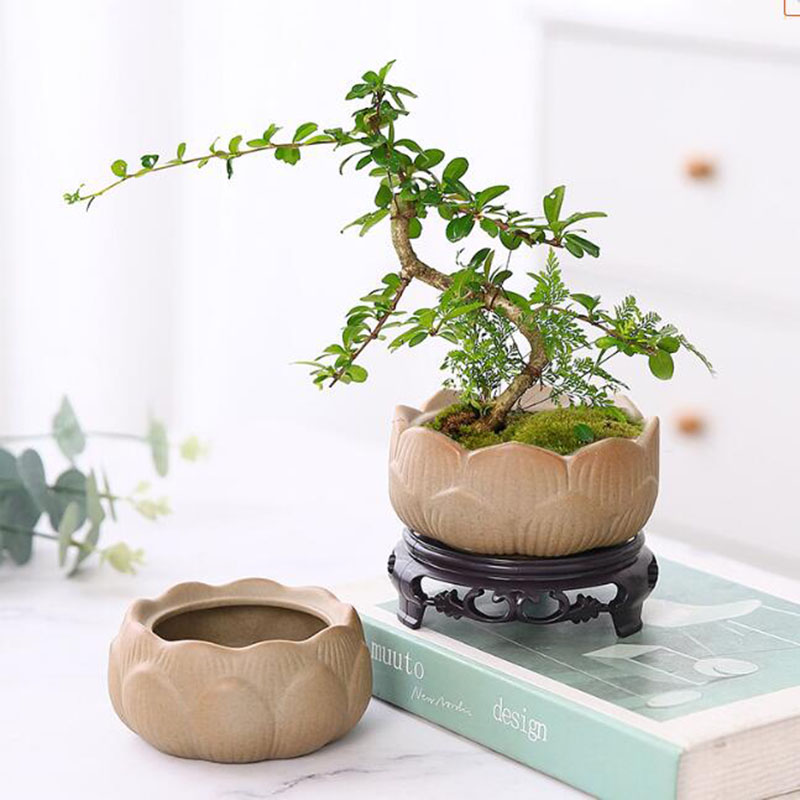 Bonsai Garden Art - Maceta de cerámica gruesa para plantas