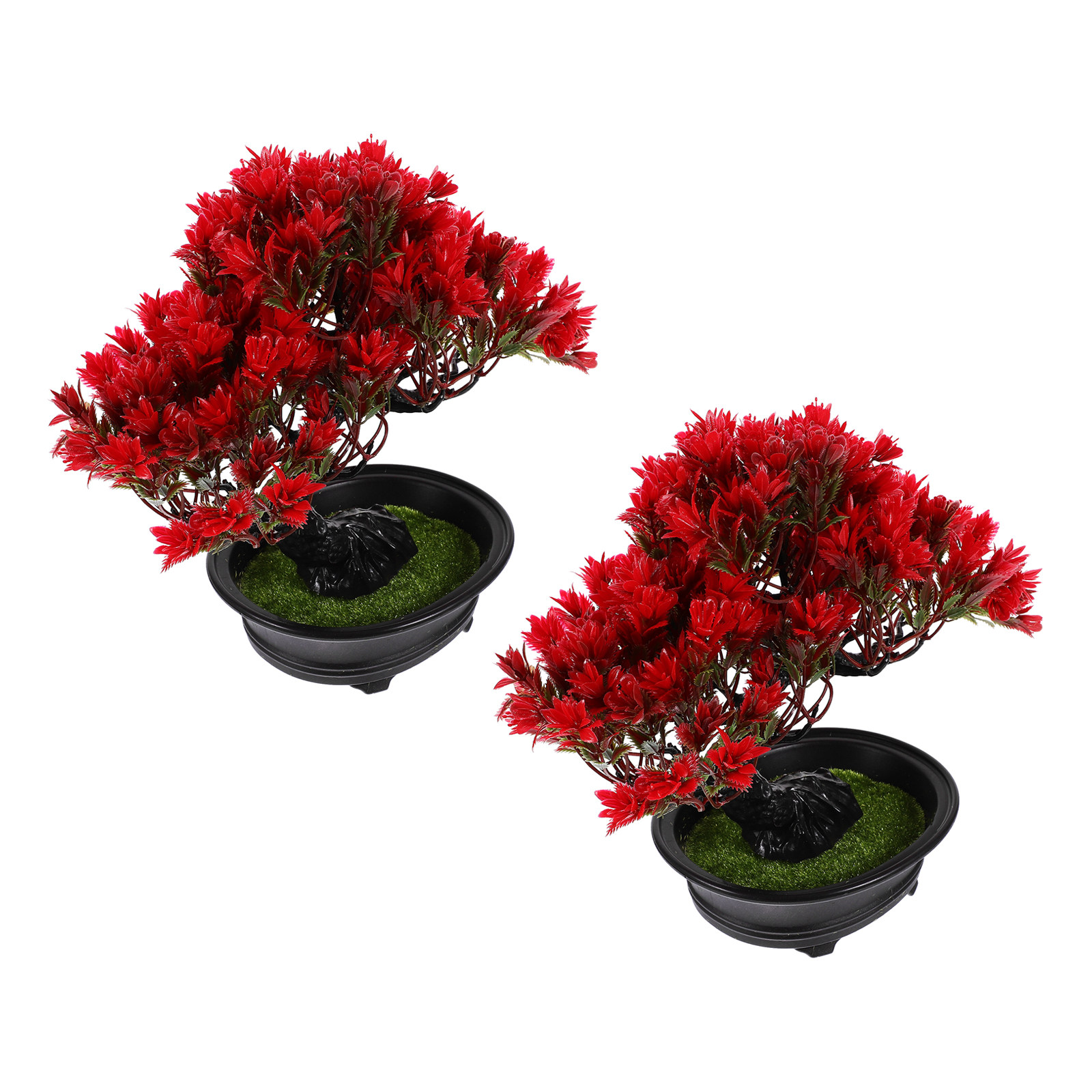 Bonsai Tree Zen Garden - 2 Plantas de Bonsái de Oficina