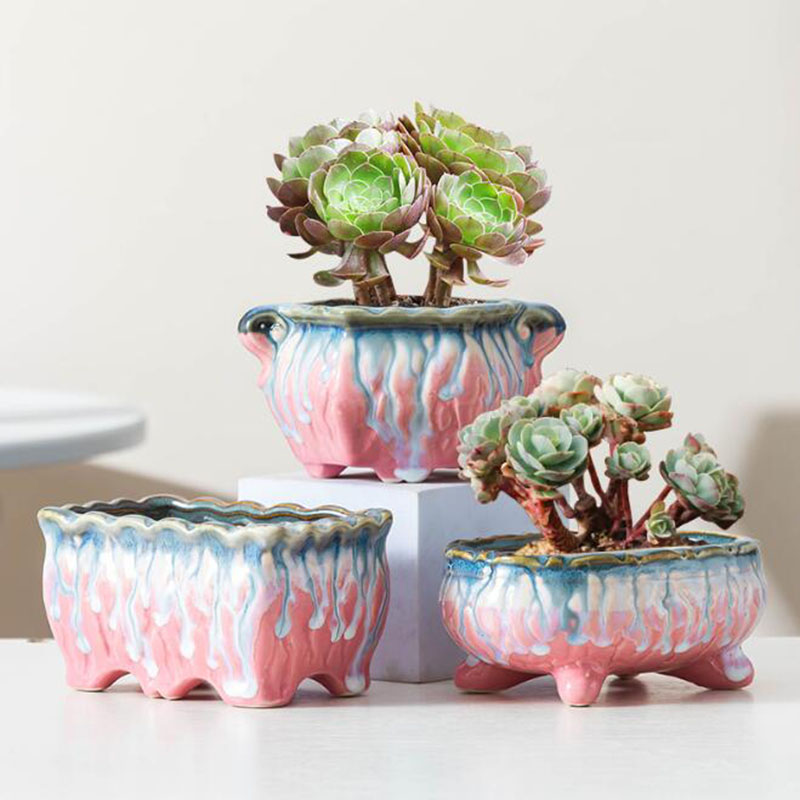 Maceta esmaltada creativa para - Bonsai Tree Zen Garden reseña y precio