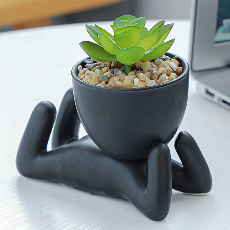Maceta de cerámica de dibujos  - Bonsai Tree Zen Garden reseña y precio
