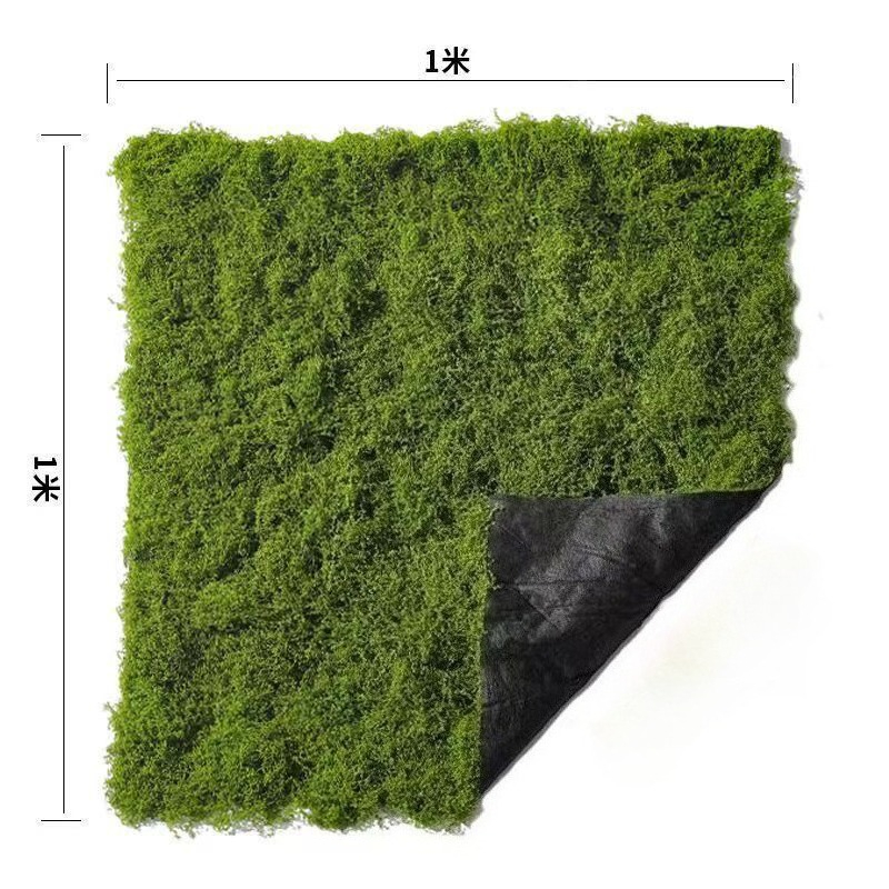 Decoración de suelo de césped  - Bonsai Garden Layout reseña y precio