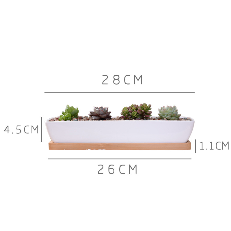 Maceta suculenta de cerámica b - Bonsai Tree Zen Garden reseña y precio