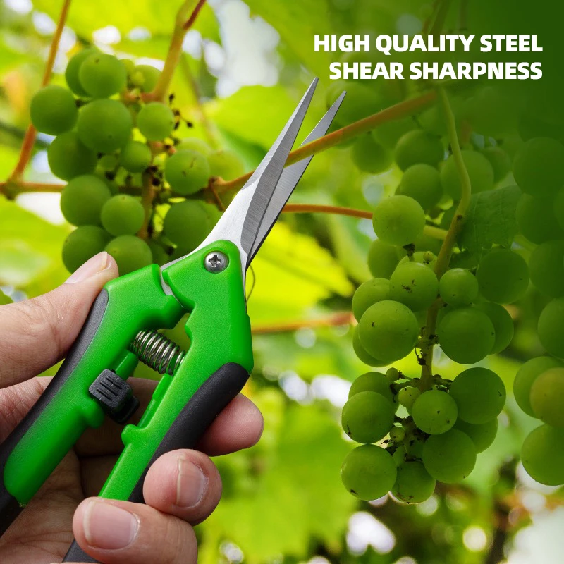 Tijeras de podar de 6,5 pulgad - Bonsai Garden Timings reseña y precio