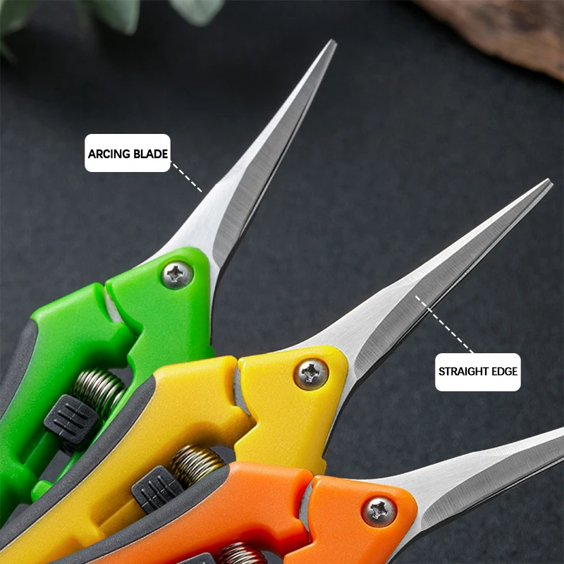 Tijeras de podar de 6,5 pulgad - Bonsai Garden Timings reseña y precio