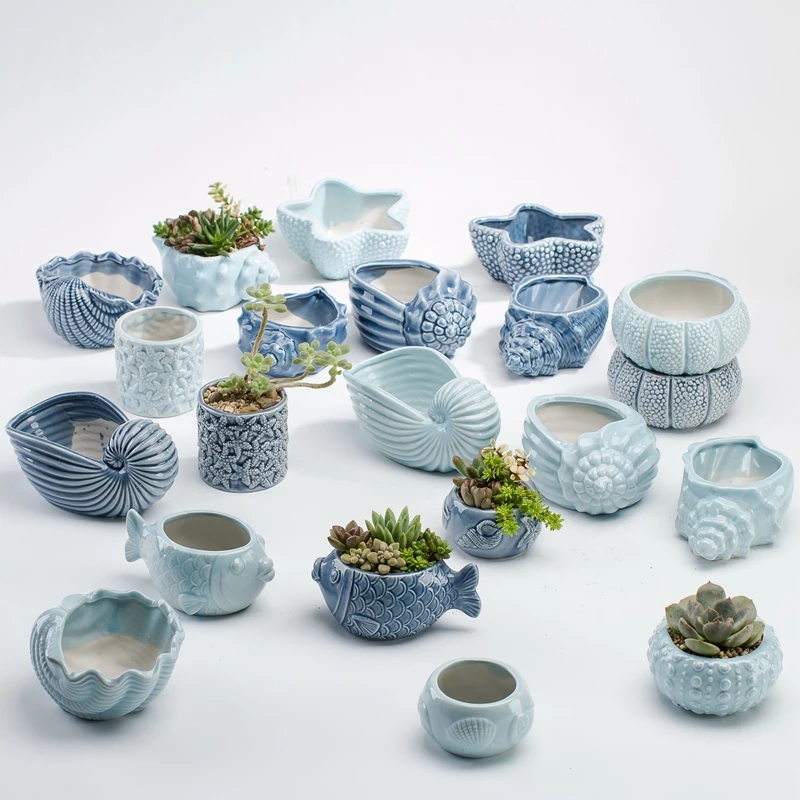 Maceta carnosa bonita de estil - Bonsai Tree Zen Garden reseña y precio