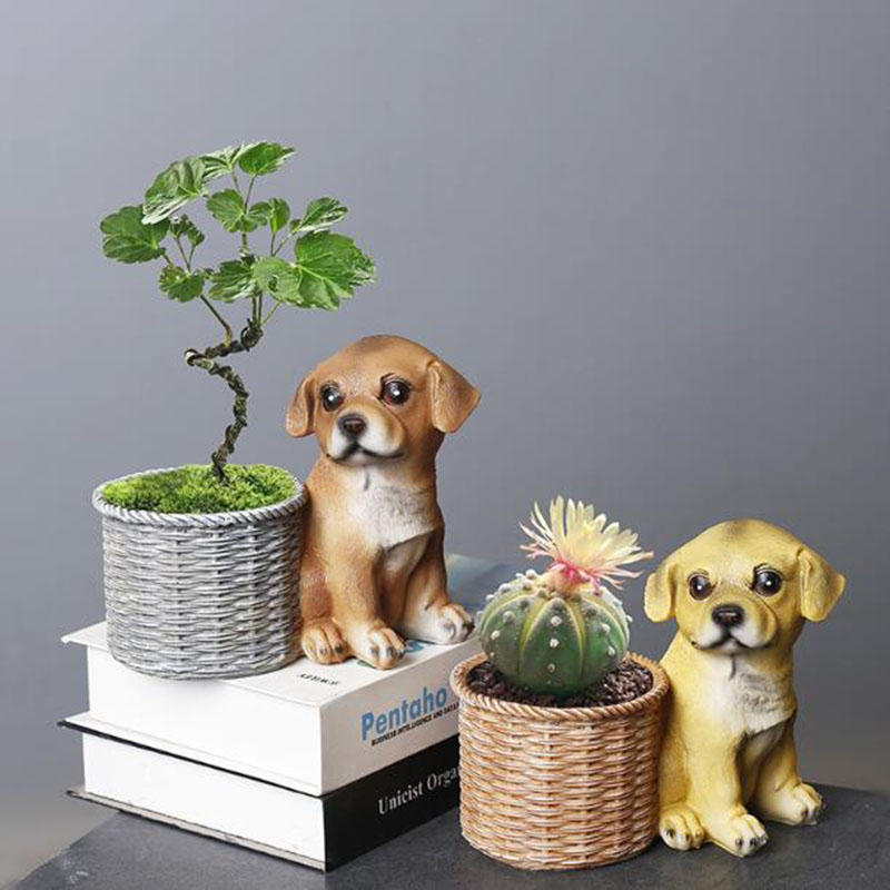 Florero de bonsái de resina pa - Bonsai Garden Art reseña y precio