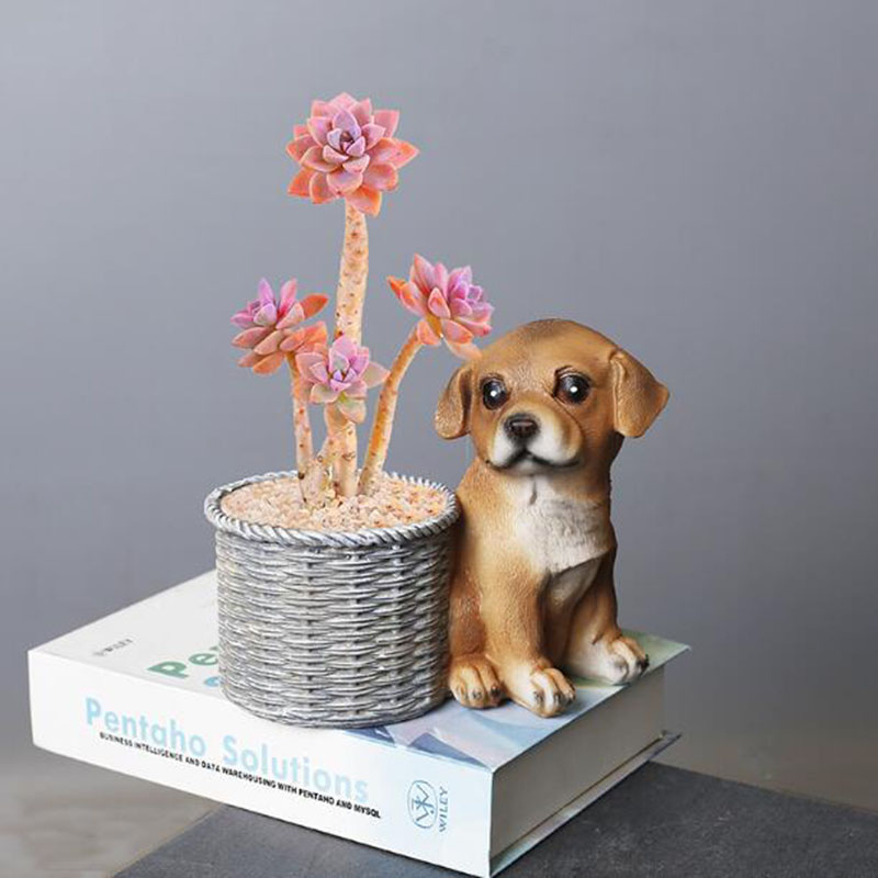 Florero de bonsái de resina pa - Bonsai Garden Art reseña y precio