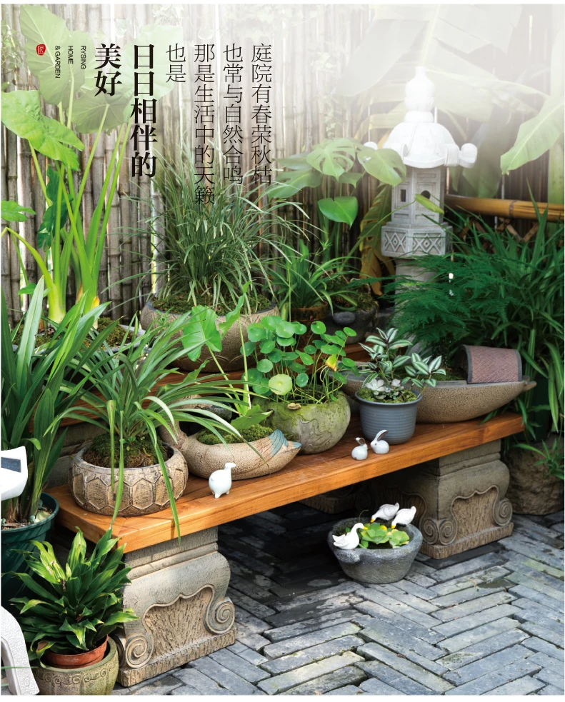 Diseño de jardín de terraza, e - Bonsai Garden Layout reseña y precio