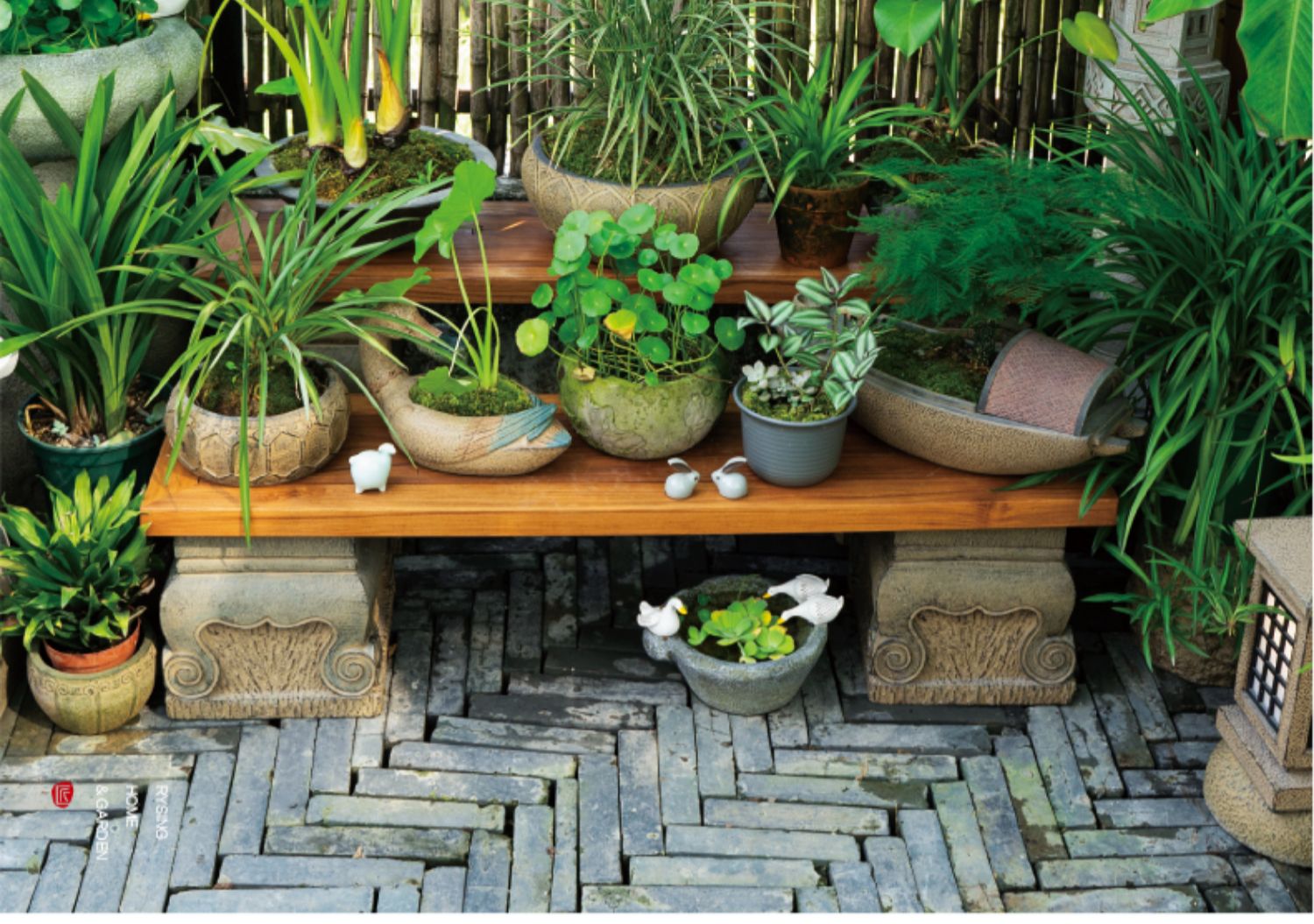 Diseño de jardín de terraza, e - Bonsai Garden Layout reseña y precio