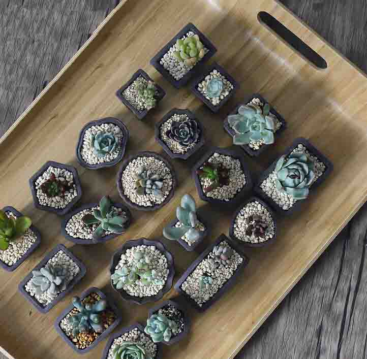 Yixing-maceta de arena púrpura - Bonsai Tree Zen Garden reseña y precio