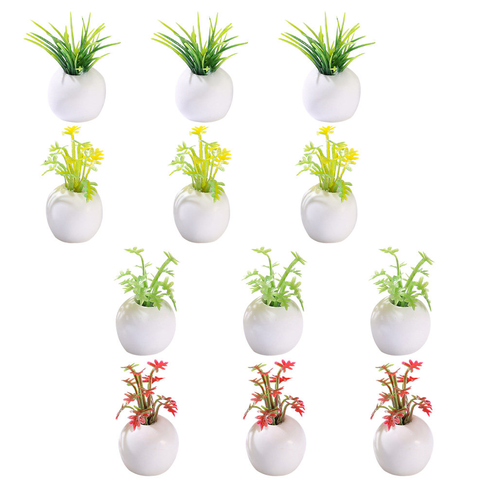 12 Piezas de Plantas en Maceta - Bonsai Garden House reseña y precio