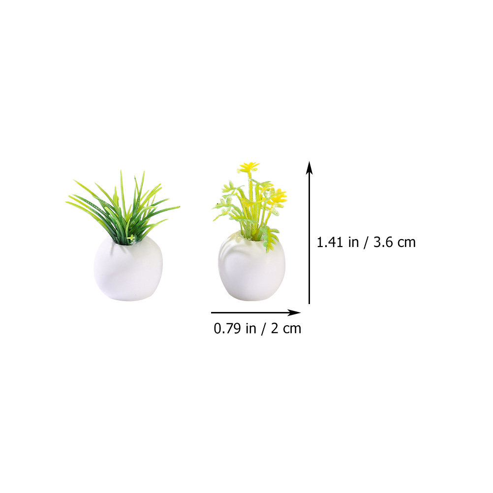 12 Piezas de Plantas en Maceta - Bonsai Garden House reseña y precio