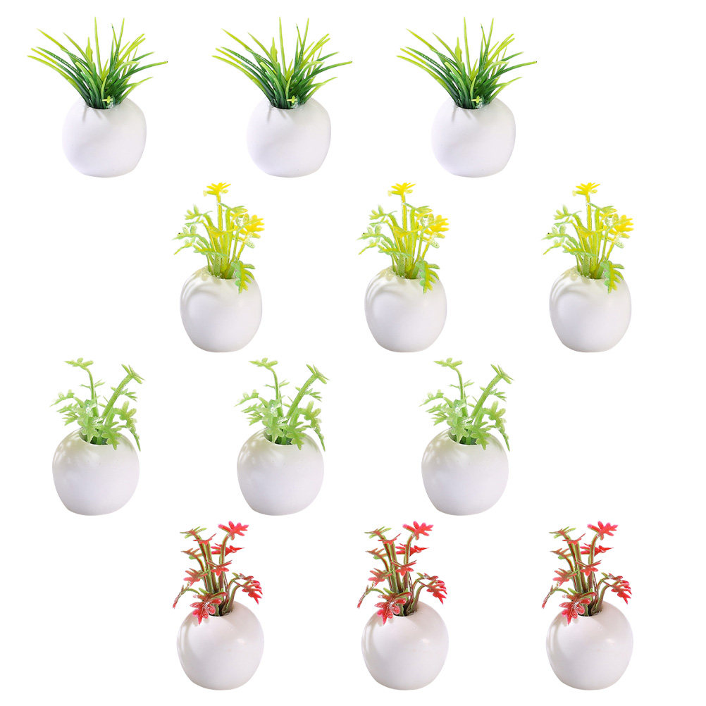 12 Piezas de Plantas en Maceta - Bonsai Garden House reseña y precio
