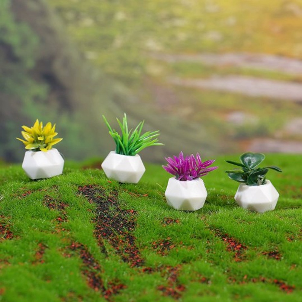 Planta en maceta en miniatura  - Bonsai Garden House reseña y precio