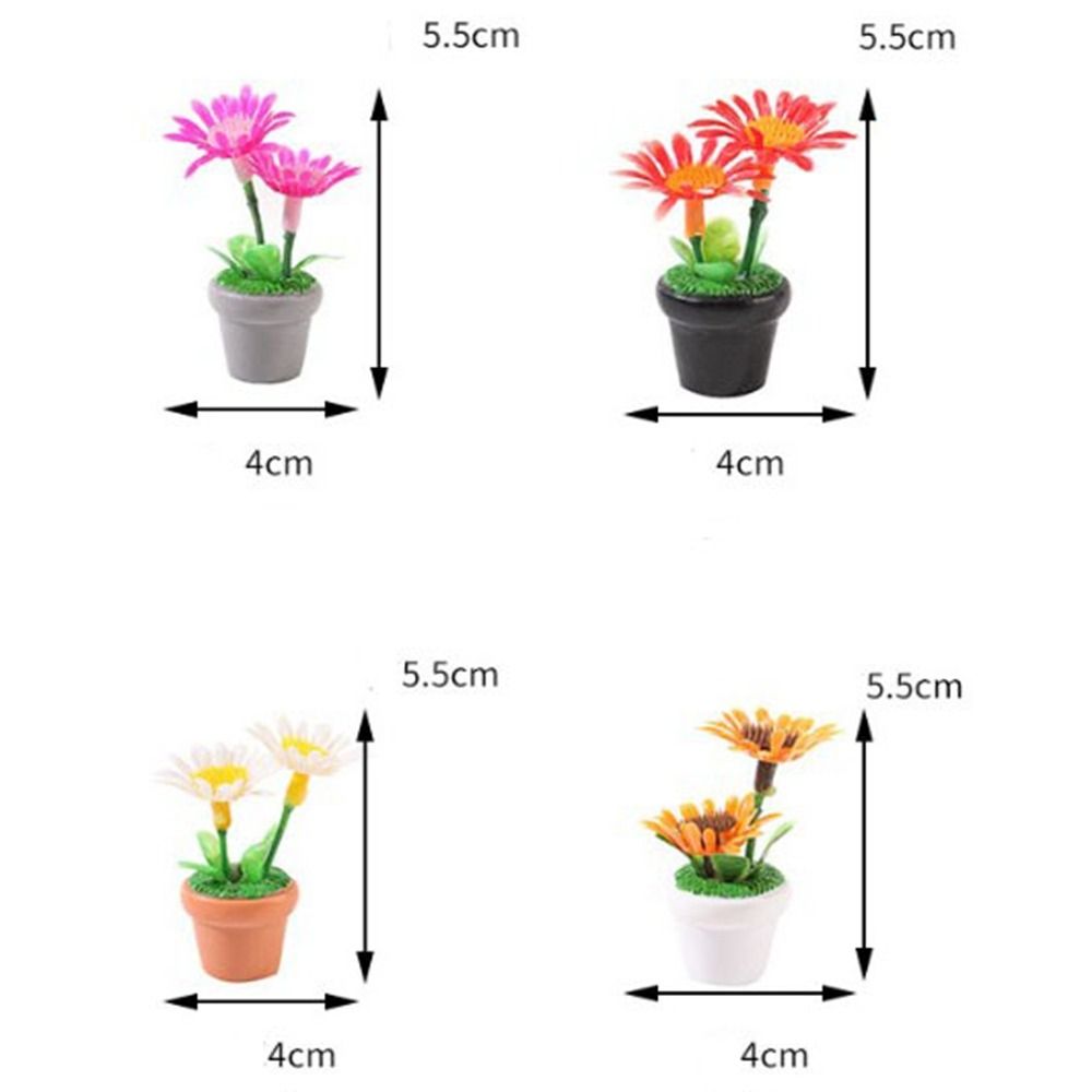 Planta en maceta en miniatura  - Bonsai Garden House reseña y precio