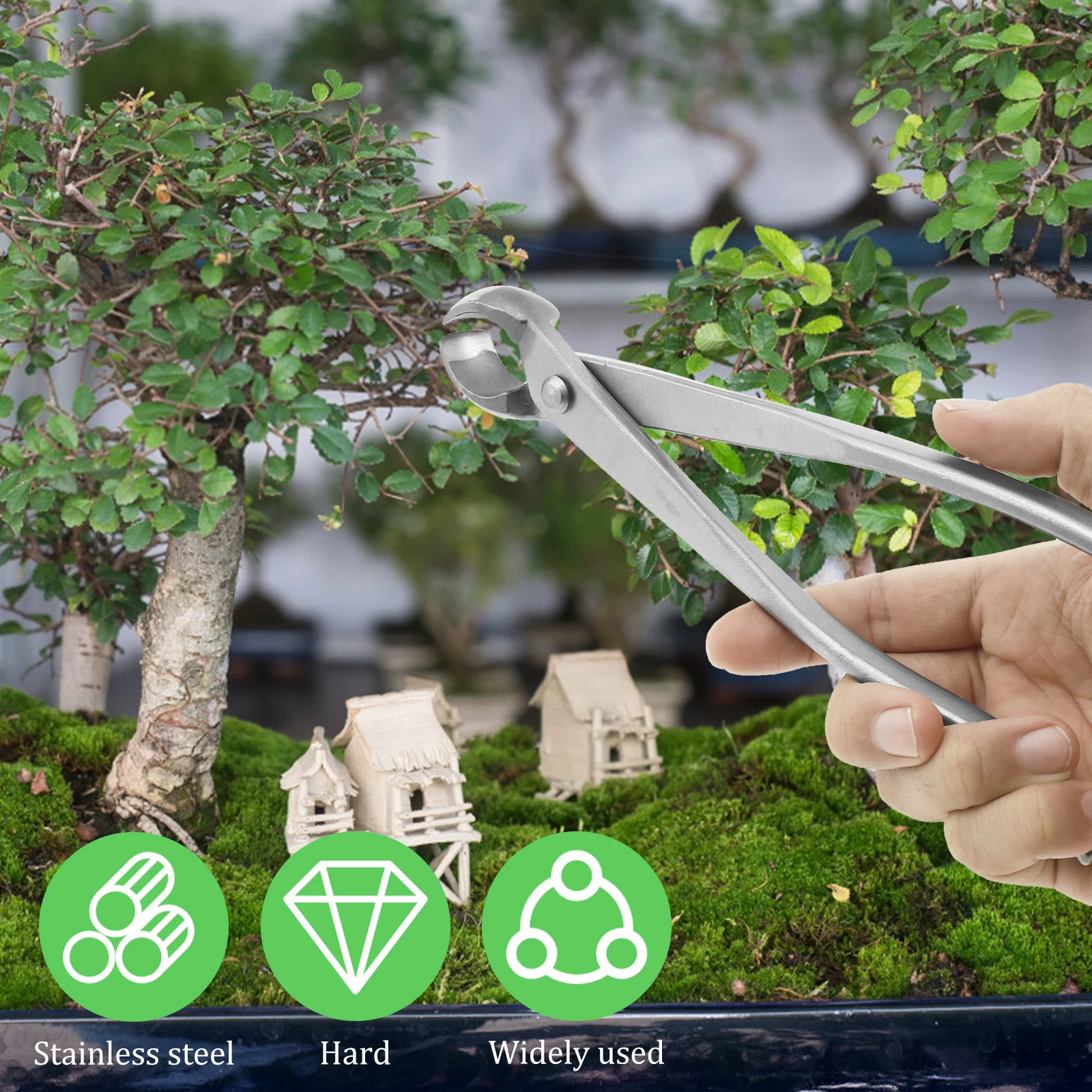 Kit de Cuidado de Bonsáis de A - Bonsai Garden Timings reseña y precio