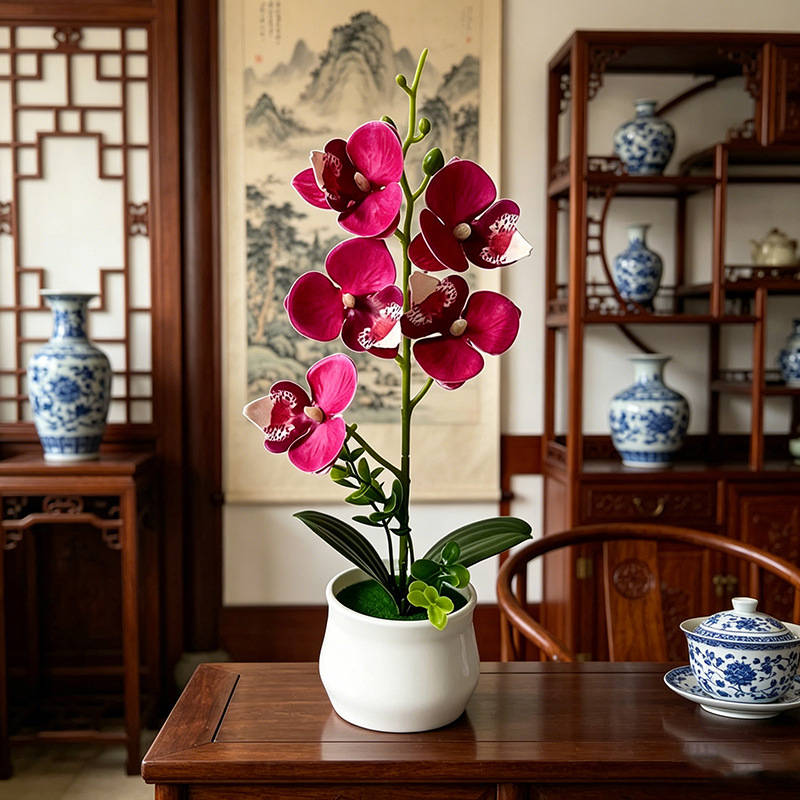 Bonsái de Orquídea Mariposa Gr - Bonsai Garden Layout reseña y precio
