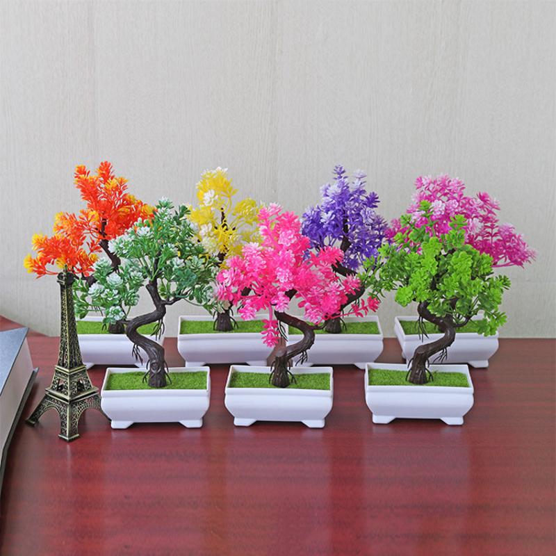 [MOA] Maceta Pequeña con Plant - Bonsai Tree Zen Garden reseña y precio