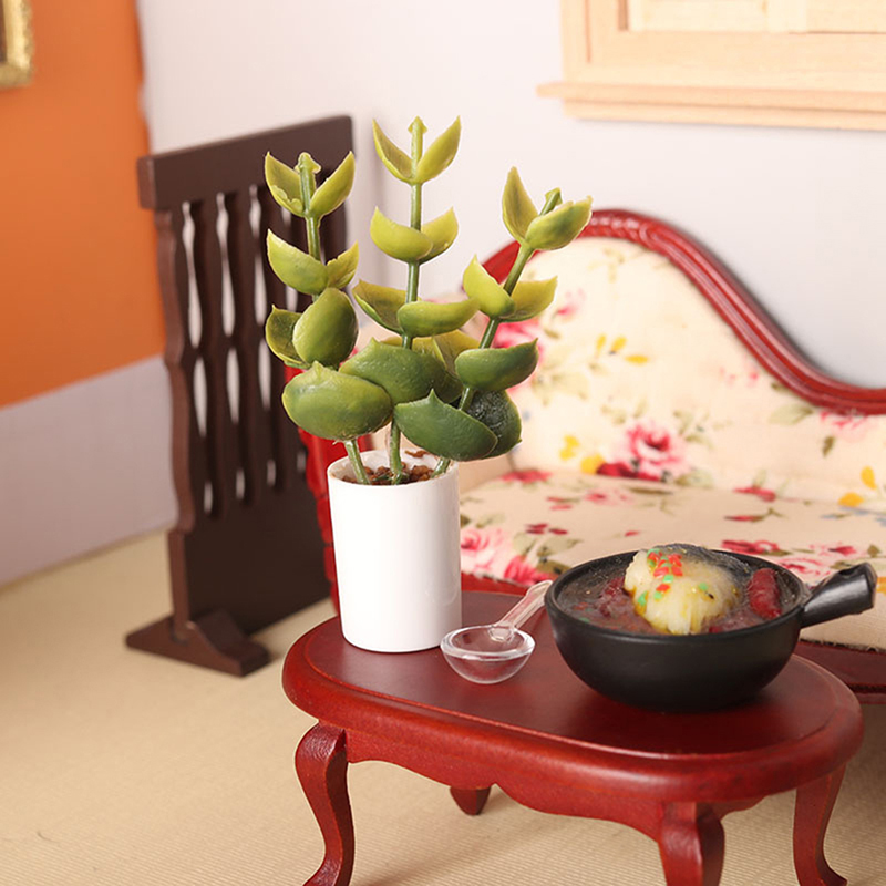Nueva Oferta: Planta en Maceta - Bonsai Garden House reseña y precio