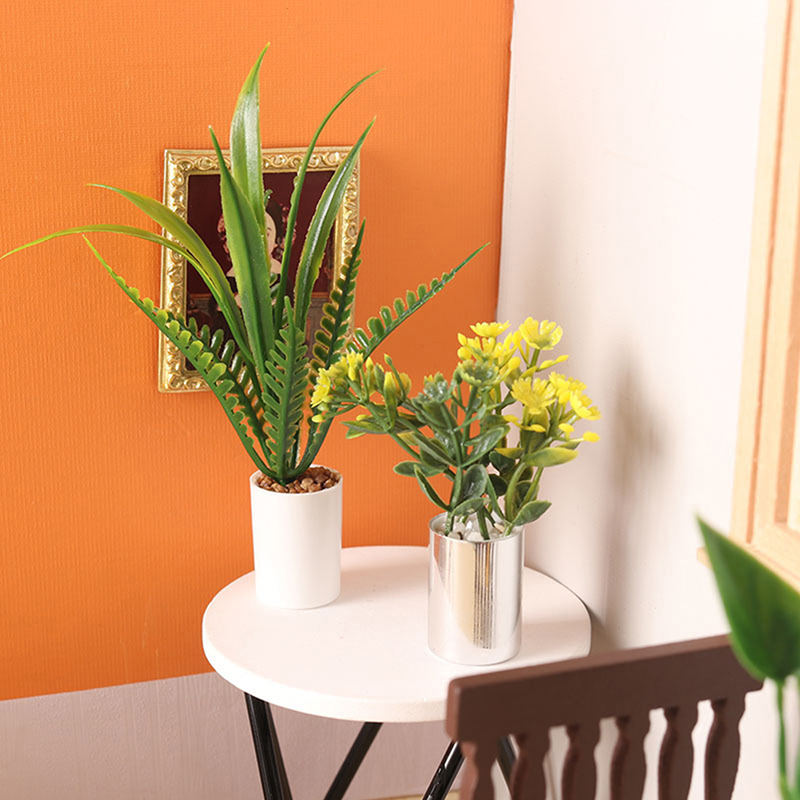 Nueva Oferta: Planta en Maceta - Bonsai Garden House reseña y precio