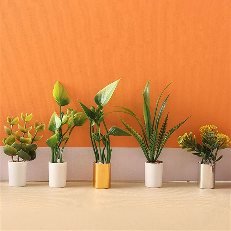 Nueva Oferta: Planta en Maceta - Bonsai Garden House reseña y precio