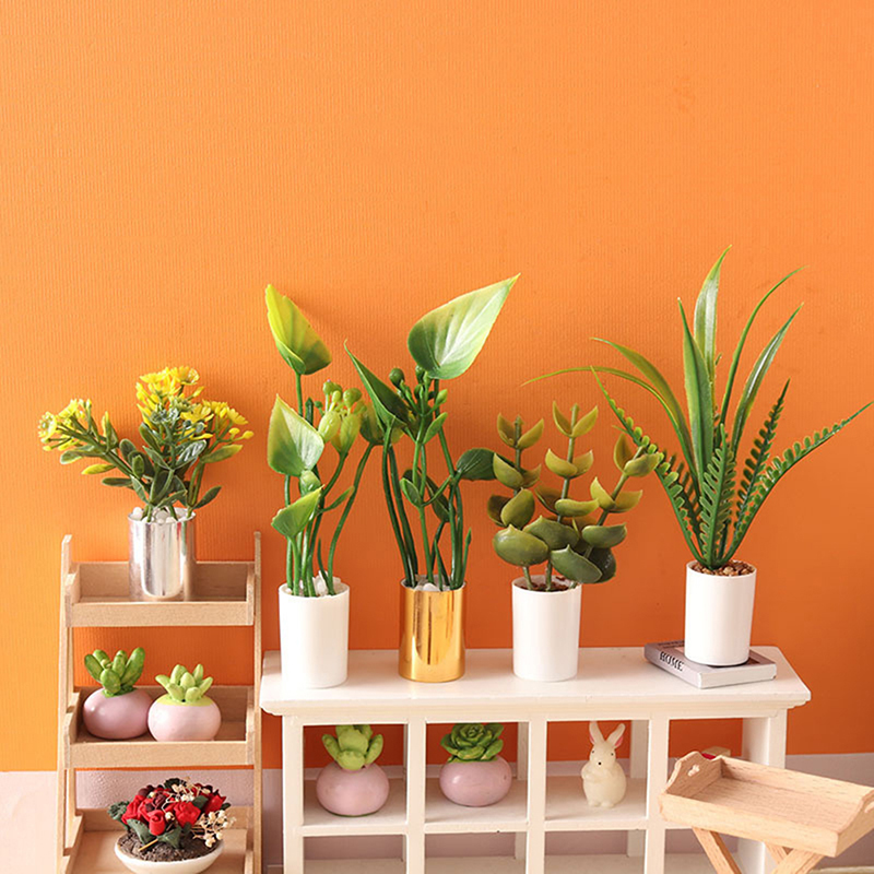 Nueva Oferta: Planta en Maceta - Bonsai Garden House reseña y precio