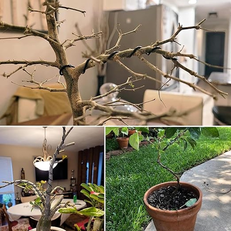 Alambre de Aluminio Negro de 1 - Bonsai Garden Art reseña y precio