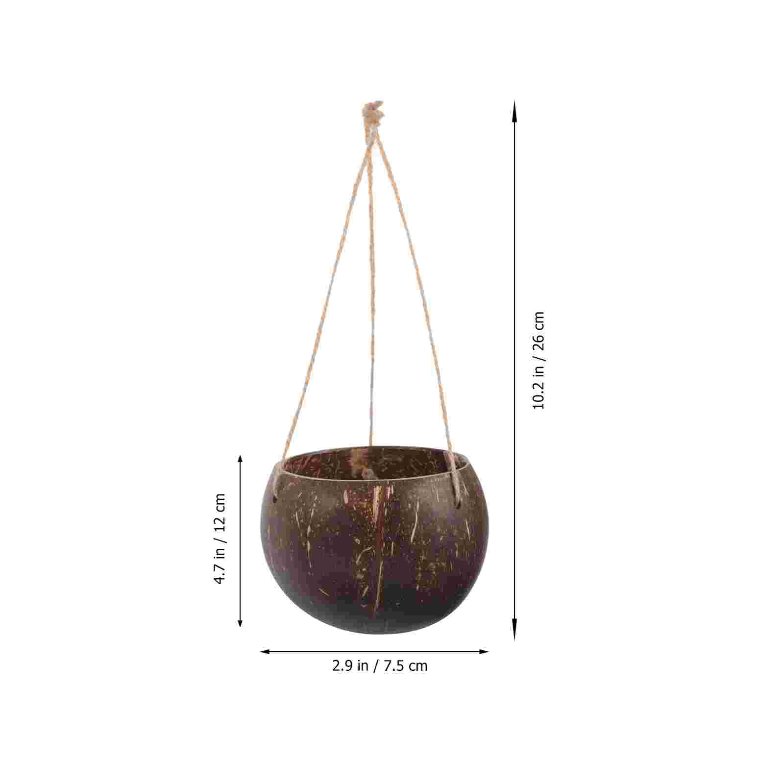 Macetas naturales de cáscara d - Bonsai Tree Zen Garden reseña y precio