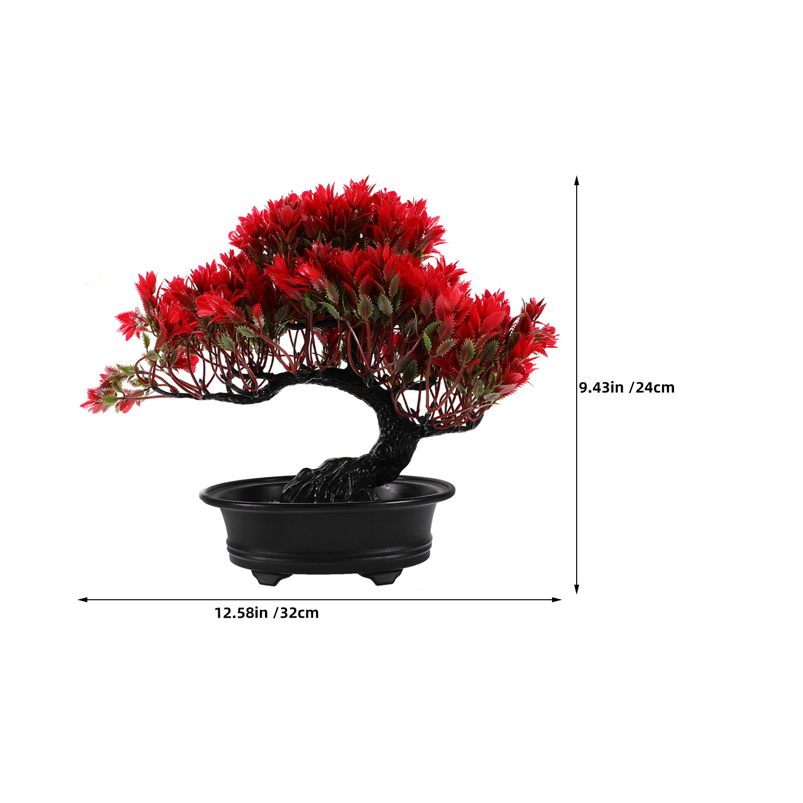 2 Plantas de Bonsái de Oficina - Bonsai Tree Zen Garden reseña y precio